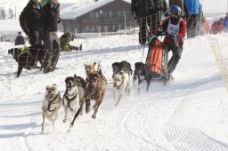 Lenk 2012 SM